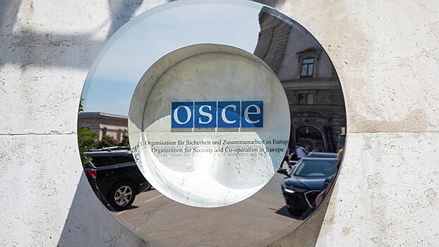 The Russian Federation will present to the OSCE new evidence of crimes committed by the Armed Forces of Ukraine in Donbass