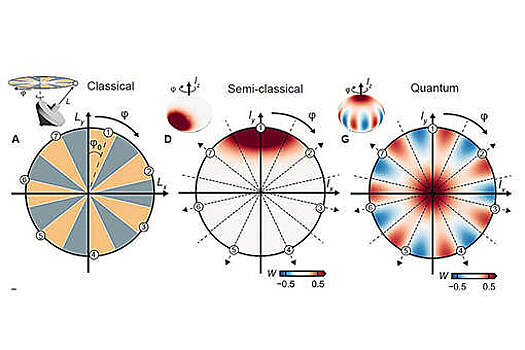 Newton: The quality of the nucleus of the nucleus of the atoms has been proven