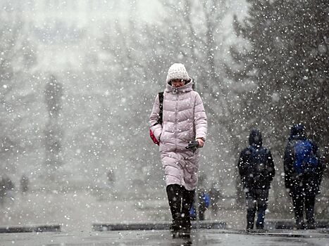 Wilfand: Frosts can return to Russia's European region in March